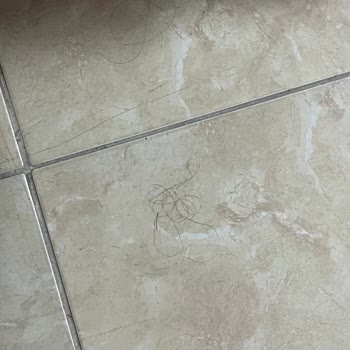 Green Gold Hotel Sağlık Bakanlığı Ve Tüketici Heyeti Denetlesin