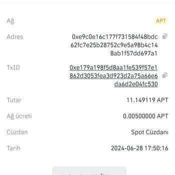 BTCTURK Yatırdığım Apt Ler Hesabıma Gelmiyor