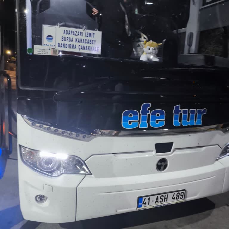 Efetur Gereksiz Rötar