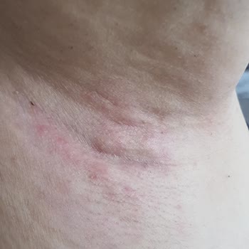 Bee Beauty Classy Krem Deodorant