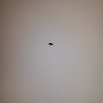 Labranda Tmt Bodrum Bayram Tatilimizde Yaşadığımız Hayal Kırıklığı