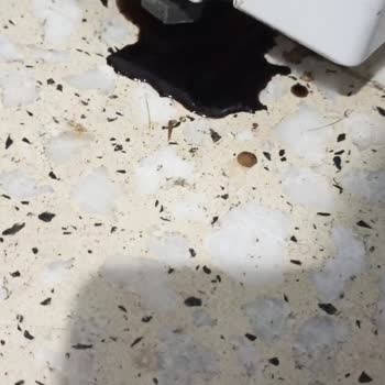 Vestel Buzdolabında Yağ Akıtma Sorunu Ve Müşteri Hizmetleri İlgisizliği