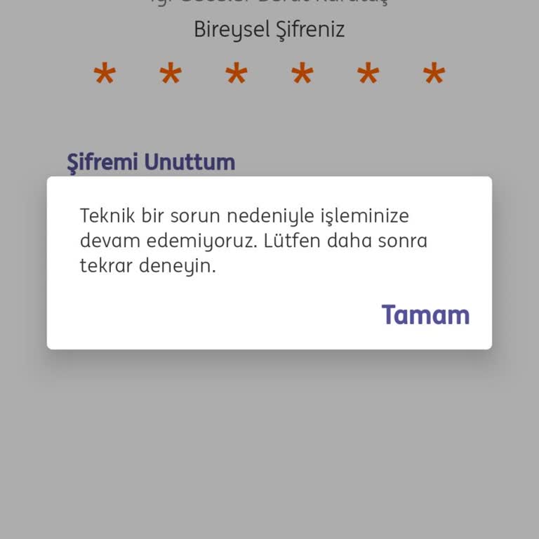 ING Mobile Giremiyorum. Sebebi Nedir?
