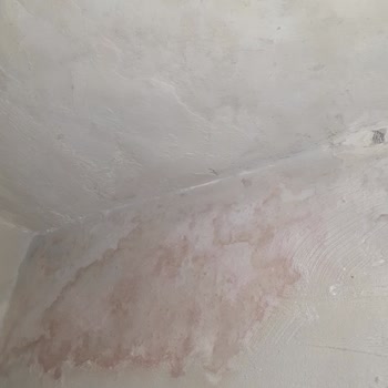 Gemlik Belediyesi Evimin Tavanına Üst Kattan Su Damlıyor