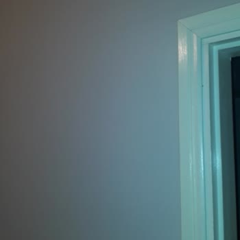 Marshall Boya Boya Renk Değiştirmesi Uyuşmadığı