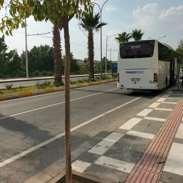 Pronto Tour Sorumsuzluk