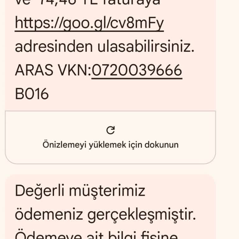 Aras Kargo E Arşiv Fatura
