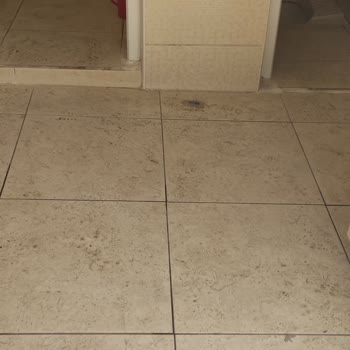 Simav Belediyesi Temizlik Önerisi Temizlik Şart