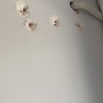 Gree Klima Kurulumunda Yaşanan Büyük Maddi Hasar