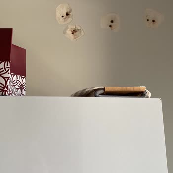 Gree Klima Kurulumunda Yaşanan Büyük Maddi Hasar