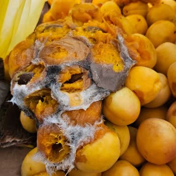 Metro Turizm Metro Firması Emanet Ürünümüz Kayıp