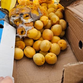 Metro Turizm Metro Firması Emanet Ürünümüz Kayıp