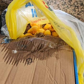 Metro Turizm Metro Firması Emanet Ürünümüz Kayıp