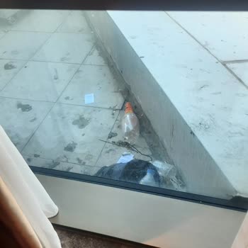 Elite World Hotels Elit World Grand Basın Ekspress