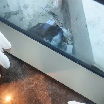 Elite World Hotels Elit World Grand Basın Ekspress