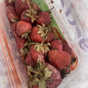 Getir Denizli Bozuk Ürün Gönderiyor