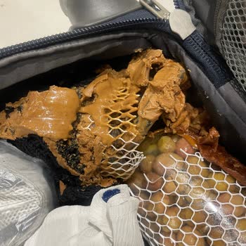 Kamil Koç Valizim Bıçaklandı Kırıldı İçindekiler Paramparça Oldu