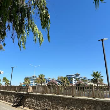 Alanya Belediyesi Sahilin Ve Denizin Taşlardan Arındırılmasını Talep Ediyorum