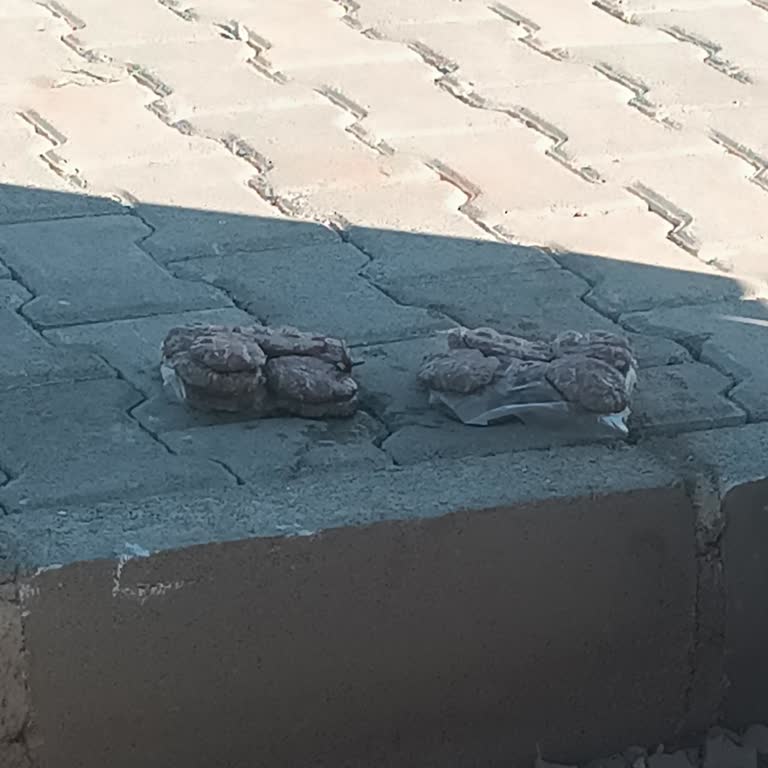 Bozuk Et Antalya Metro Market