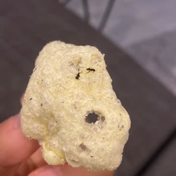 BİM Patito "karınca" Aromalı Kaşık Cips