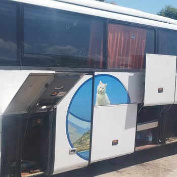 Ulaştırma ve Altyapı Bakanlığı Van Kalesi Şehirler Arası