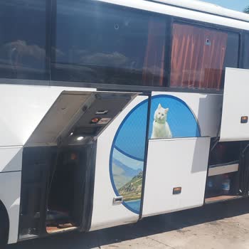 Ulaştırma ve Altyapı Bakanlığı Van Kalesi Şehirler Arası
