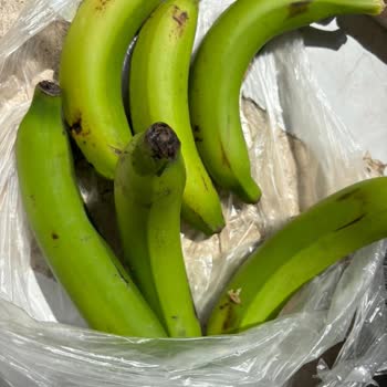 Cepte Şok Market Ve Manav Ürünlerinde Gelen Kalitesizlik