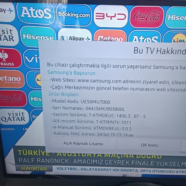 Samsung TV Ses Takılı Kalıyor