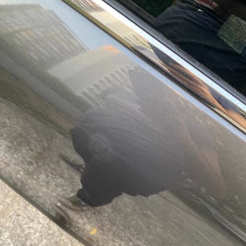 Yeni Aldığım Citroen C5 Aircross'un Tavan Boya Problemi