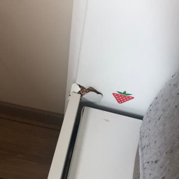 Çilek Mobilya'dan Alınan Çocuk Odası Baza Sorunu Ve Garanti Problemi