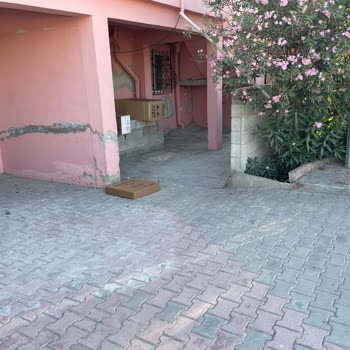 Horoz Lojistik Özensiz Kargo Ve Personel Terbiyesizliği