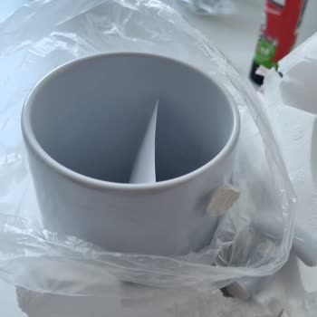 Çiçek Sepeti Pişmanlığı, Kargonun İhmali