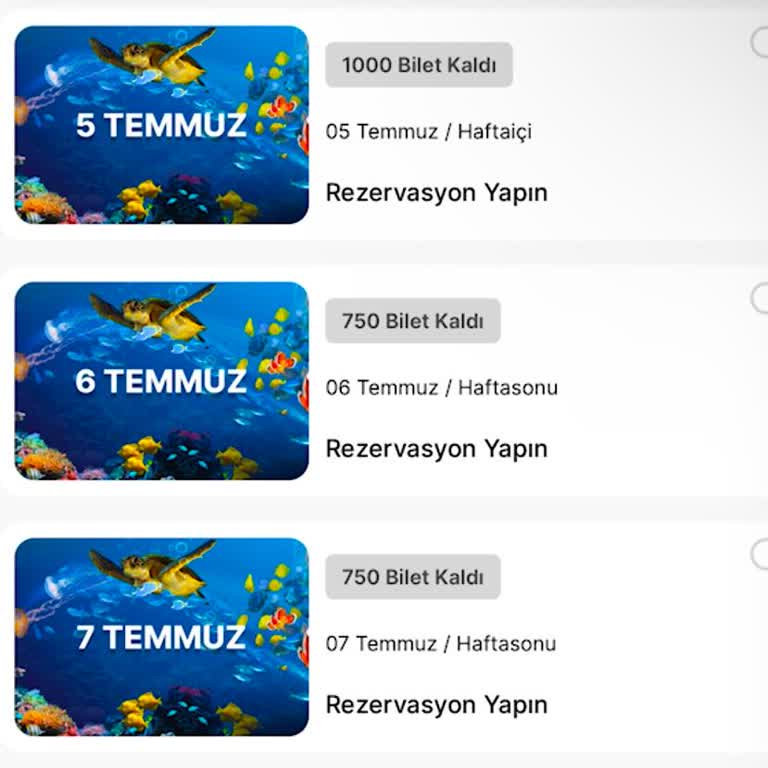 Forum İstanbul AVM İstanbul Forum Sea Life Akvaryum