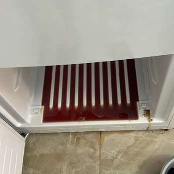 Bosch Buzdolabının Arızalanması 🥺