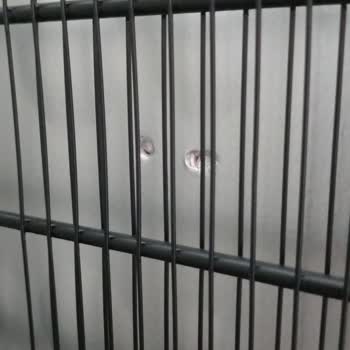 Beko Müşteri Mağduriyeti Ürünün Defolu Gelmesi