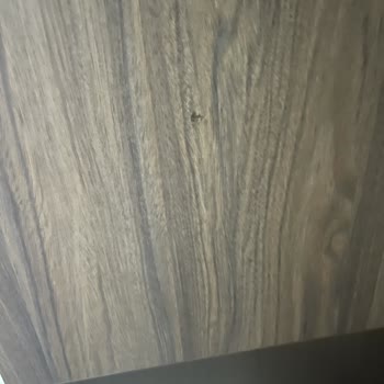 Divan Ev Mağduriyeti