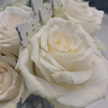 Çiçek Sepeti Gelen Solmuş Güller Ve İlgisiz Müşteri Hizmetleri