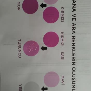 HP Smart Tank Yazıcı Sadece Pembe Renk Çıkarma Sorunu