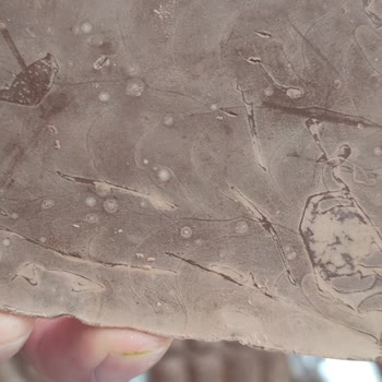 Nestle Ayıplı Ürün Sorunu