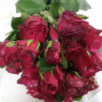 Çiçek Sepeti Görsel Farlı Gelen Farklı