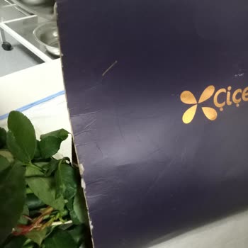 Çiçek Sepeti Görsel Farlı Gelen Farklı