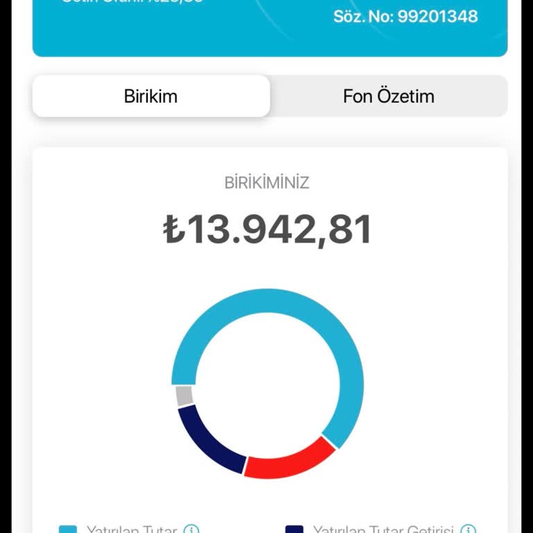Türkiye Hayat Emeklilik Giriş Aidat Kesintisi