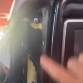 Alanyalılar Turizm Tövbe Bir Daha!