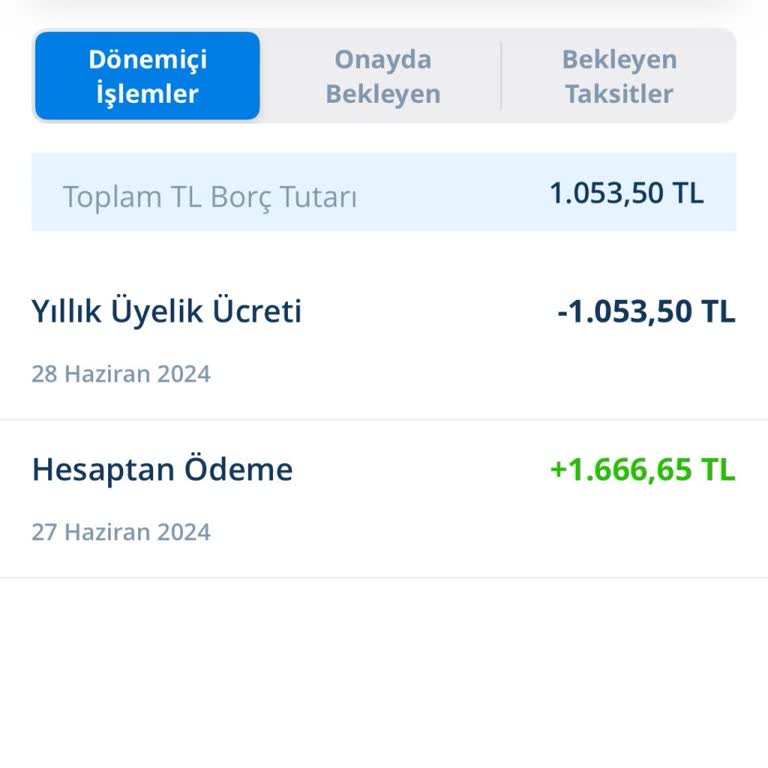 Denizbank Kredi Kartı Aidatı