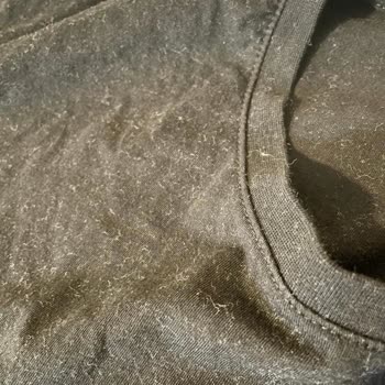 Bosch Çamaşırlar Makineden Tüy-toz İçinde Çıkıyor.