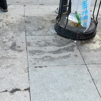 Sarıyer Kir Pislik İçinde