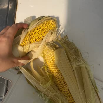 Getir Büyük Çürük Ürün Teslimatı