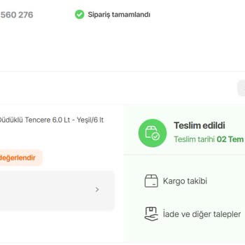 Vienev Fissler Orijinallik Sorgulama Hatası
