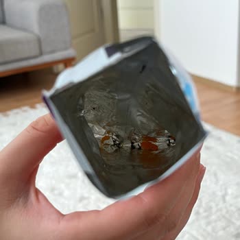 Doritos Paket İçeriği Ölü Karınca