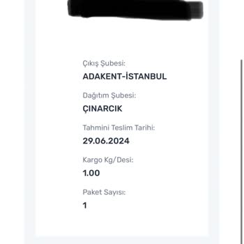 Aras Kargo Çınarcık Kargo Teslimatı Halen Olmadı